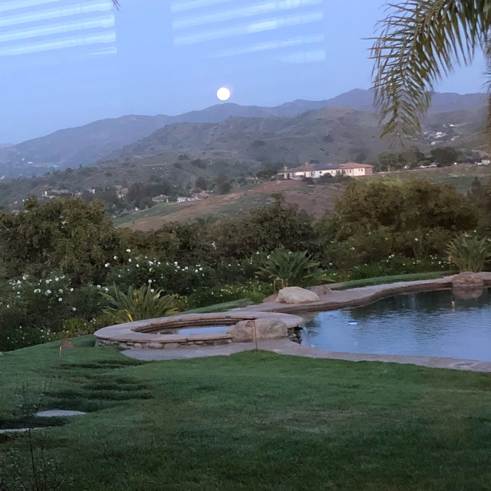 Meet your Posher, Linda